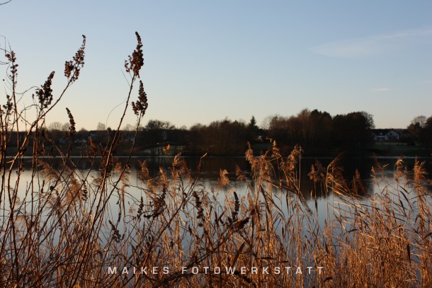Lütjensee im Winterlicht 2008.jpg