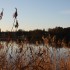 Lütjensee im Winterlicht 2008.jpg