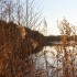Lütjensee Abendlicht 2008.jpg