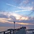 Abend am Darß 2005.jpg