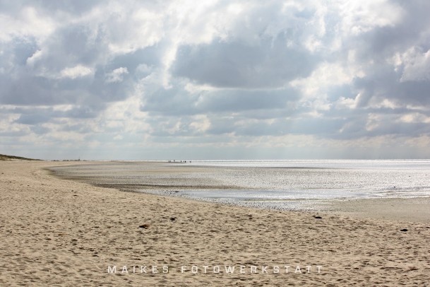 Ellenbogen Sylt 2009.jpg