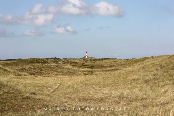 Leuchtturm Ellenbogen Sylt 2009.jpg