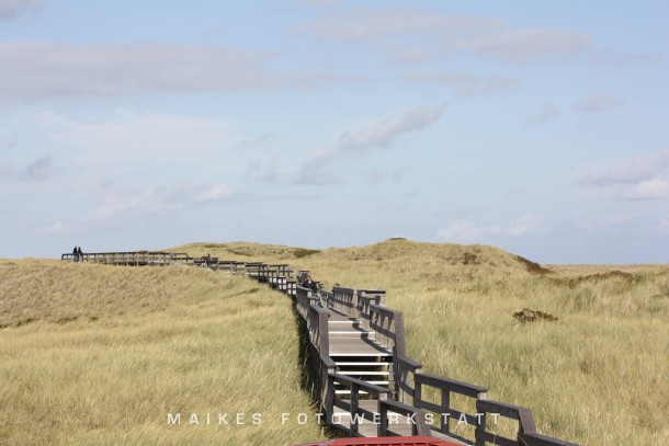 Dünenlandschaft Wenningstedt Sylt 2009.jpg