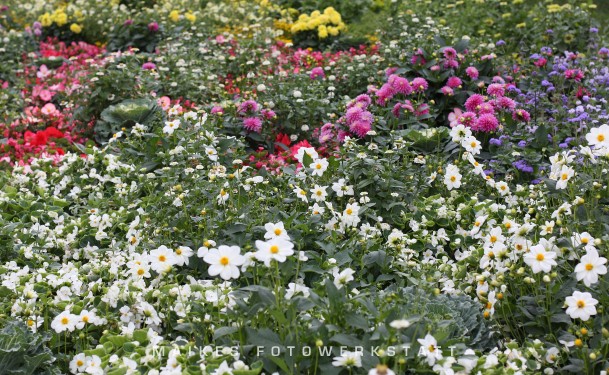 Gartenkunst V.jpg